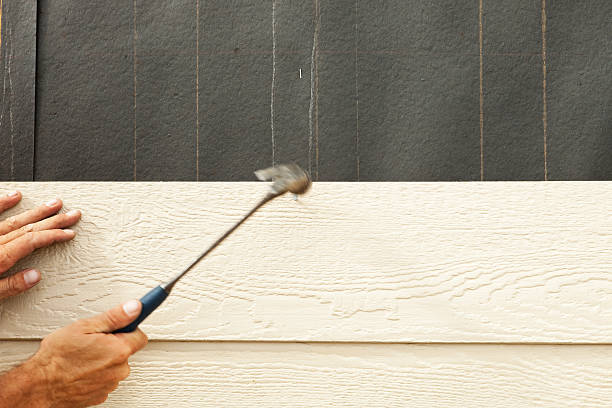 Best Siding Painting and Refinishing  in Miami, AZ